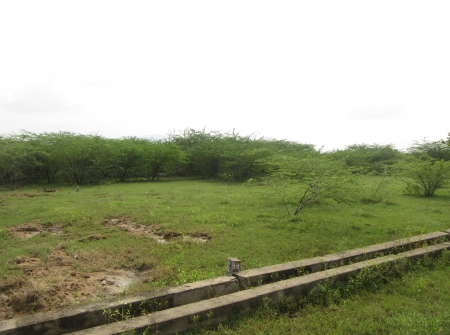 3) Li Id : 122 - Plot For sale Near Applyagunta Road.JPG